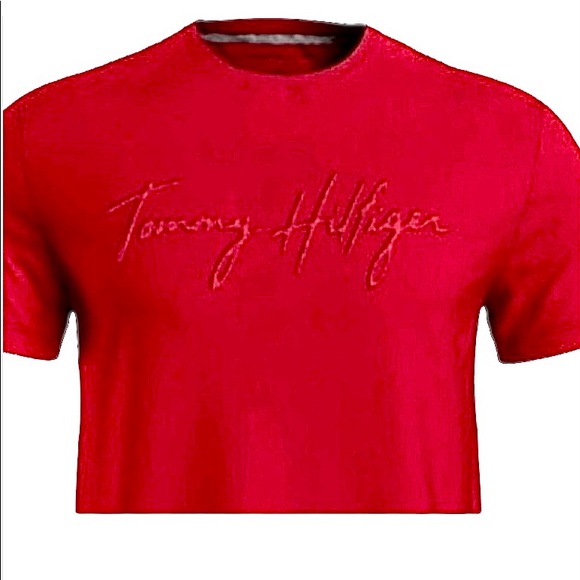 Tommy Hilfiger Other - Tommy Hilfiger new red size large still has tags